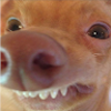 sclovy